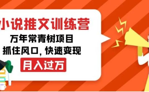 小说推文训练营,万年常青树项目,抓住风口