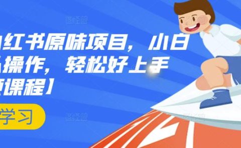 抖音小红书原味项目,小白都可以操作,轻松好上手【视频课程】