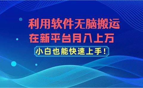 利用软件无脑搬运,在新平台月入上万,小白也能快速上手