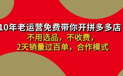 拼多多-合作开店日入4000+两天销量过百单,无学费、老运营教操作、小白...