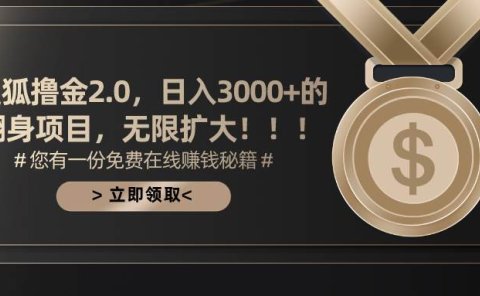搜狐撸金2.0日入3000+,可无限扩大的翻身项目
