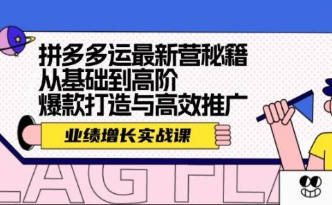 拼多多运最新营秘籍:业绩 增长实战课,从基础到高阶,爆款打造与高效推广