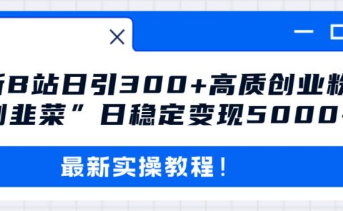 最新B站日引300+高质创业粉教程!“割韭菜”日稳定变现5000+!