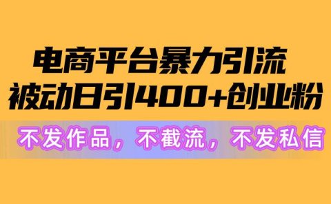 电商平台暴力引流,被动日引400+创业粉不发作品,不截流,不发私信