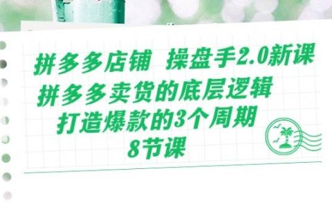 拼多多店铺 操盘手2.0新课,拼多多卖货的底层逻辑,打造爆款的3个周期-8节