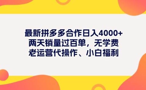 最新拼多多项目日入4000+两天销量过百单,无学费、老运营代操作、小白福利