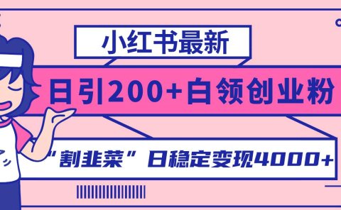 小红书最新日引200+创业粉”割韭菜“日稳定变现4000+实操教程！