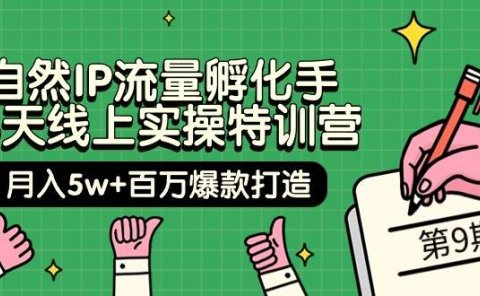 自然IP流量孵化手 14天线上实操特训营【第9期】月入5w+百万爆款打造 (74节)