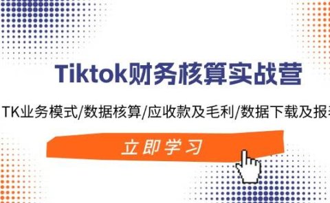 Tiktok财务核算实战营:TK业务模式/数据核算/应收款及毛利/数据下载及报表