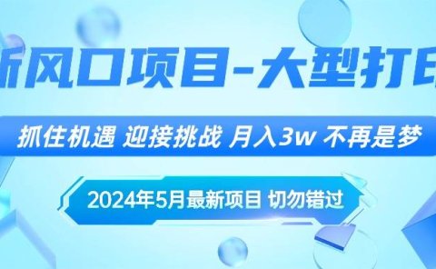 2024年5月最新风口项目,抓住机遇,迎接挑战,月入3w+,不再是梦