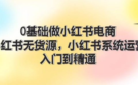 0基础做小红书电商,小红书无货源,小红书系统运营,入门到精通 (70节)