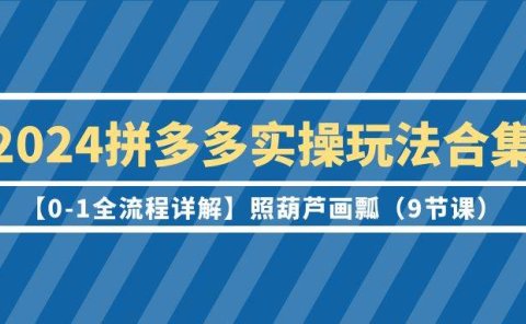 2024拼多多实操玩法合集【0-1全流程详解】照葫芦画瓢(9节课)