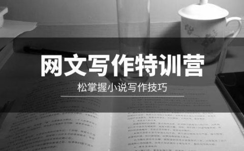 网文-写作特训营，轻松掌握小说写作技巧（20节视频课）