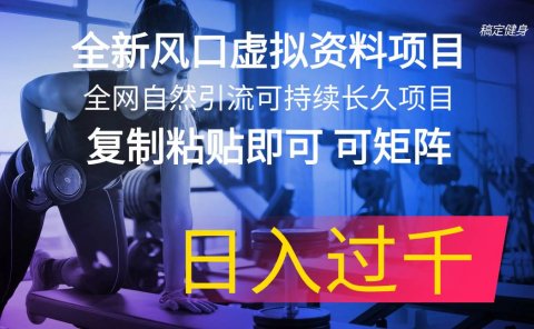 全新风口虚拟资料项目 全网自然引流可持续长久项目 复制粘贴即可可矩阵...