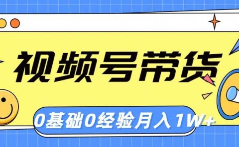 视频号轻创业带货,零基础,零经验,月入1w+