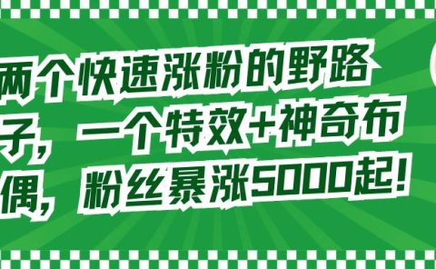 两个快速涨粉的野路子,一个特效+神奇布偶,粉丝暴涨5000起!