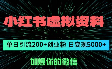 小红书虚拟资料日引流200+创业粉，单日变现5000+