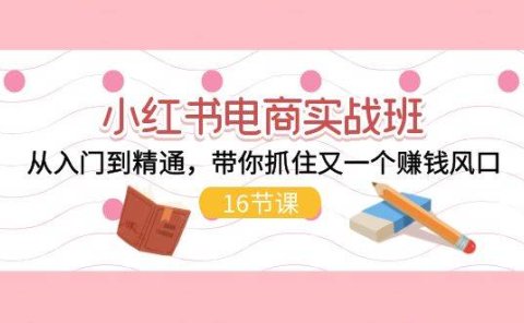 小红书电商实战班,从入门到精通,带你抓住又一个赚钱风口(16节)