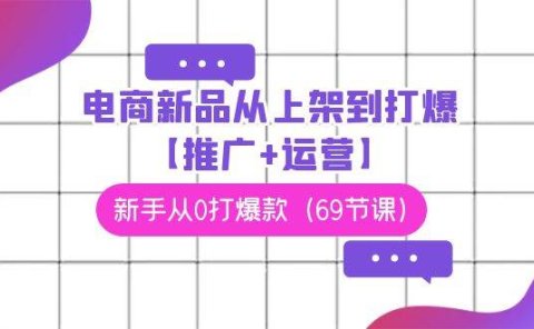 电商 新品从上架到打爆【推广+运营】,新手从0打爆款(69节课)