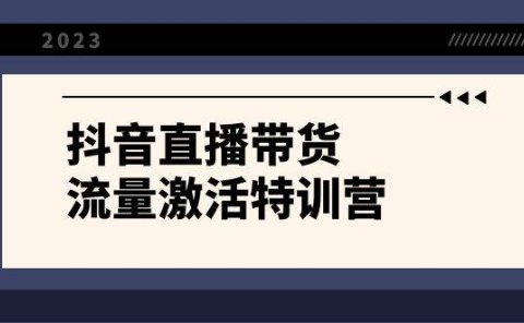 抖音直播带货-流量激活特训营，入行新手小白主播必学（21节课+资料）