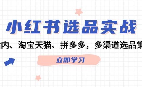 小红书选品实战:站内、淘宝天猫、拼多多,多渠道选品策略