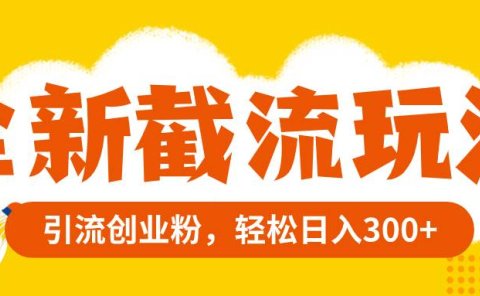 全新截流玩法，精准引流创业粉，轻松日入300+