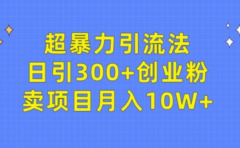 超暴力引流法,日引300+创业粉,卖项目月入10W+