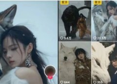 超级宠物视频玩法,1条视频点赞20万,手把手教你