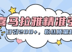 喜马拉雅精准引流,日引200+粉丝质量超高