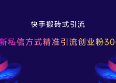 快手搬砖式引流,最新私信方式,精准引流创业粉300+