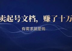 卖起号文档,搞了10万