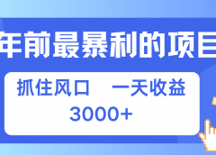 年前最赚钱的项目之一，可以过个肥年