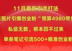 小红书11月最新图片打法,一张图片引爆创业粉“预算4980带我飞”,私信无数,根本回不过来,单条笔记引流500+精准创业粉