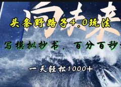 头条野路子4.0玩法,手写模拟器抄书,百分百秒过,一天轻松1000+