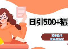 日引500+精准粉 简单操作 有手就能做