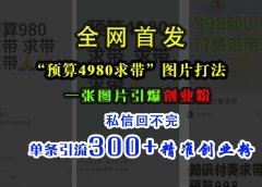 小红书“预算4980带我飞”图片打法,一张图片引爆创业粉,私信回不完,单条引流300+精准创业粉