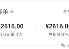 小红书商单变现:普通人的新收入渠道,矩阵化运营实现多收入。