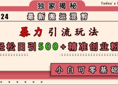 最新搬运混剪暴力引流玩法,轻松日引500+精准创业粉,小白可零基础上手