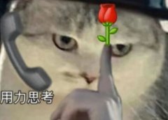 这次写啥?干脆把我AI搞文章的底牌给你...(建议收藏)