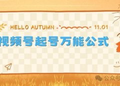带货起号秘籍:数字人视频号1条视频爆粉2000+!