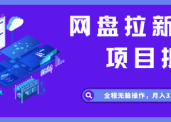 网盘拉新项目拆解,全程无脑操作,月入3万+