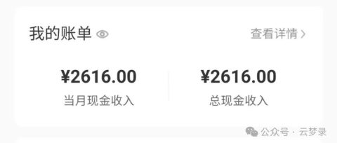 小红书商单变现:普通人的新收入渠道,矩阵化运营实现多收入。