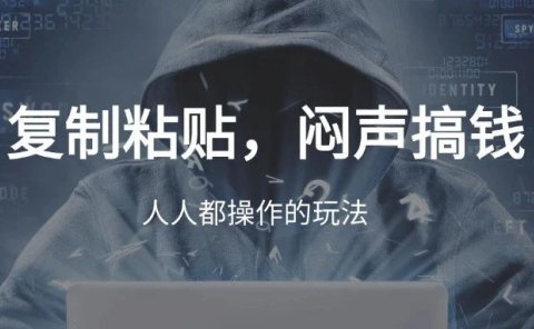 复制粘贴,闷声搬运搞钱,年底再赚一波!