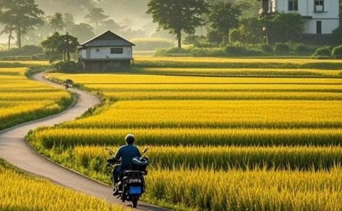 一学就会,1分钟教会你,10W+爆款田间乡野治愈视频(附提示词技巧)