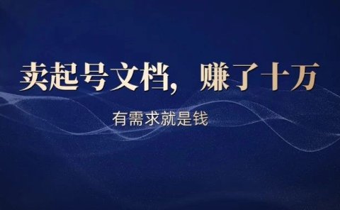 卖起号文档,搞了10万