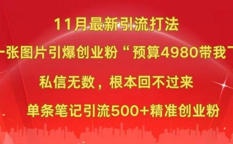 小红书11月最新图片打法,一张图片引爆创业粉“预算4980带我飞”,私信无数,根本回不过来,单条笔记引流500+精准创业粉