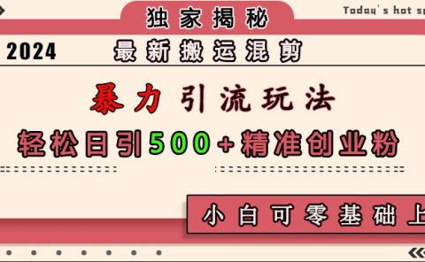 最新搬运混剪暴力引流玩法,轻松日引500+精准创业粉,小白可零基础上手