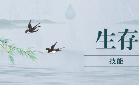 建议大家尽早投资自己的生存技能