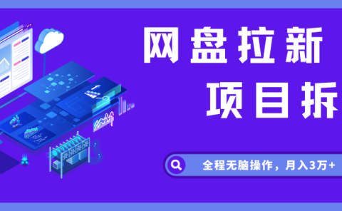 网盘拉新项目拆解,全程无脑操作,月入3万+