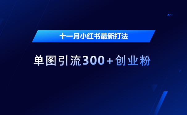 十一月,小红书最新打法,单图引流300+创业粉